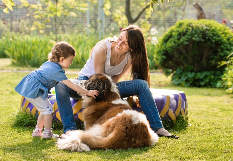 Famille et chien images stock