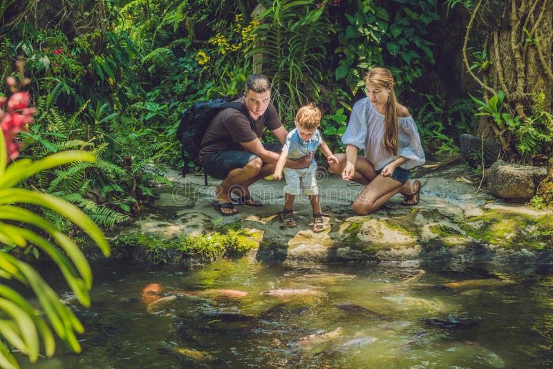 Famille heureuse alimentant le poisson-chat coloré dans l'étang tropical photos stock Famille heureuse alimentant le poisson-chat coloré dans l'étang tropical photos stock