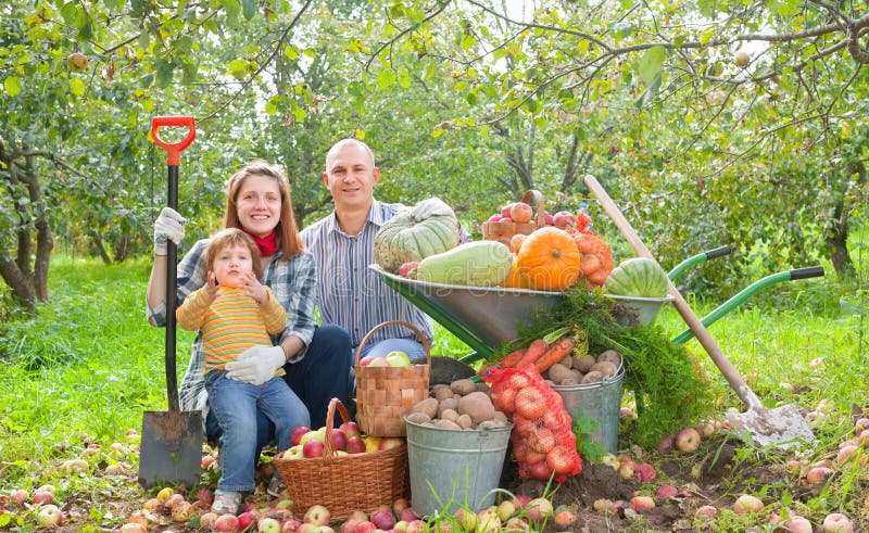 Famille heureux avec la moisson de légumes photos libres de droits Famille heureux avec la moisson de légumes photos libres de droits