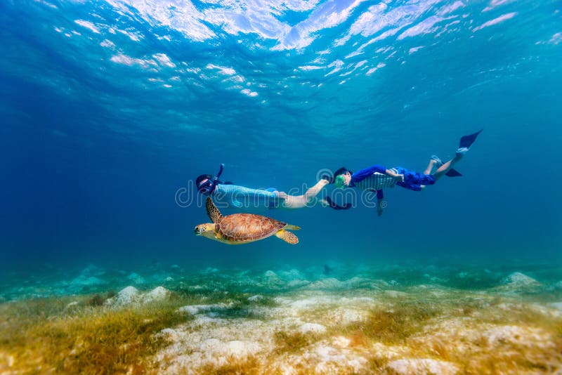 Famille naviguant au schnorchel avec la tortue de mer image stock Famille naviguant au schnorchel avec la tortue de mer image stock
