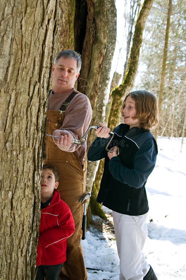 Famille tapant un arbre d'érable à sucre images stock Famille tapant un arbre d'érable à sucre images stock