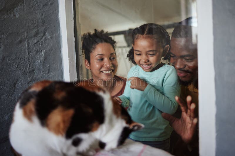 /b/family-animal-shelter-chil... /b/family-animal-shelter-chil...