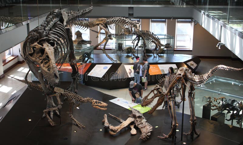 Family enjoying dinosaur exhibit museum