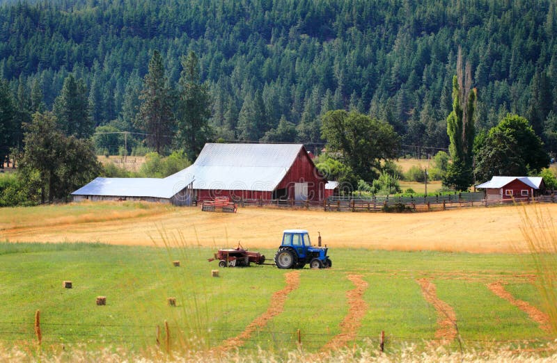 Family Farm