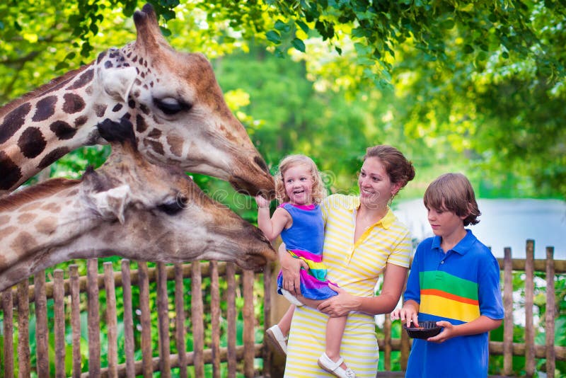 Famiglia felice, giovane madre di due bambini, carino ridere bambino ragazza e di un adolescente di età ragazzo di alimentazione giraffa durante un viaggio in una città zoo in una calda giornata estiva.