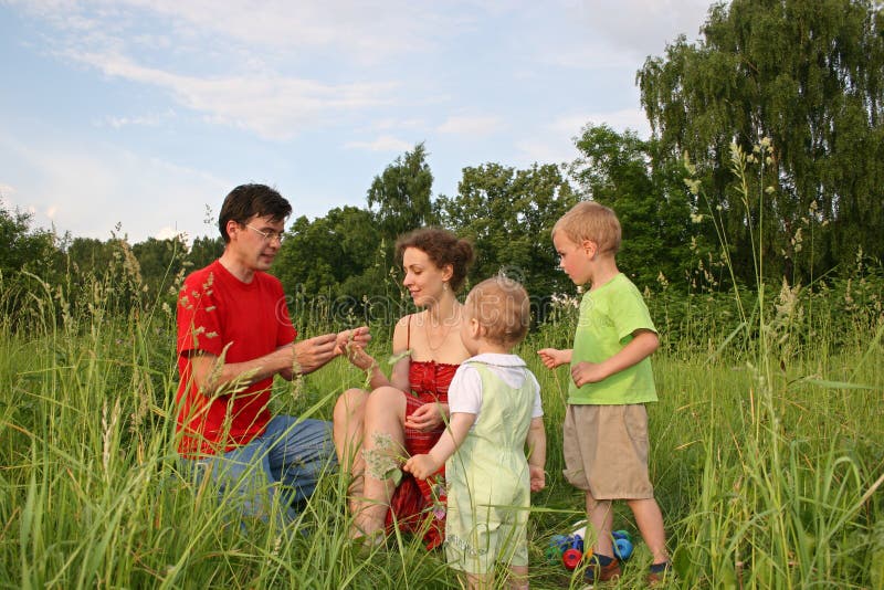 Family of four on meadow royalty free stock images
