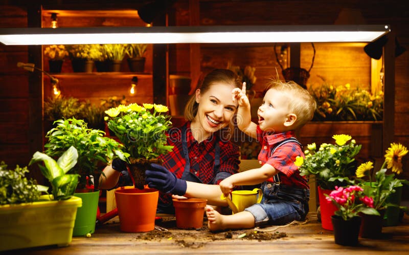 Family mother and baby grow flowers, transplant seedlings in gar stock photos Family mother and baby grow flowers, transplant seedlings in gar stock photos