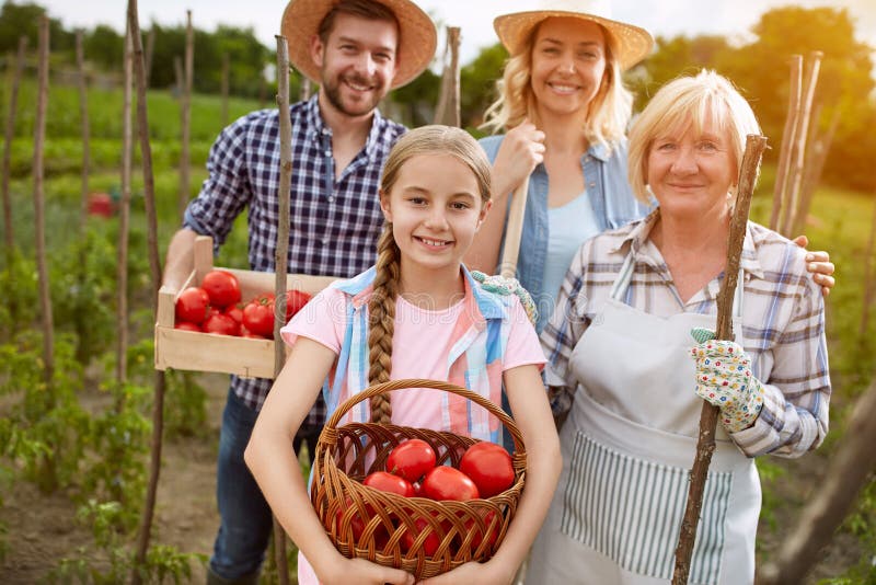 Family with organically produced tomatoes