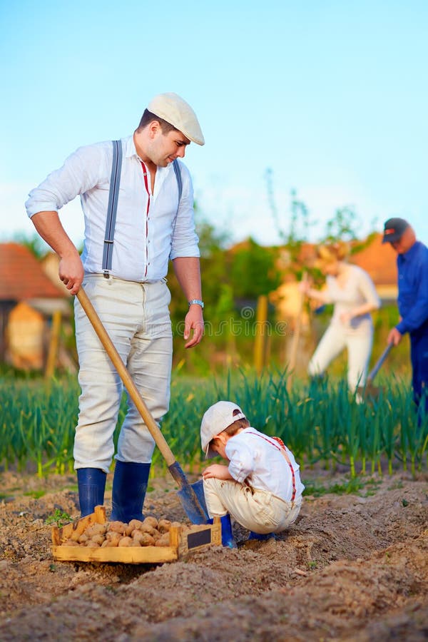 Family planting potatoes in vegetable garden