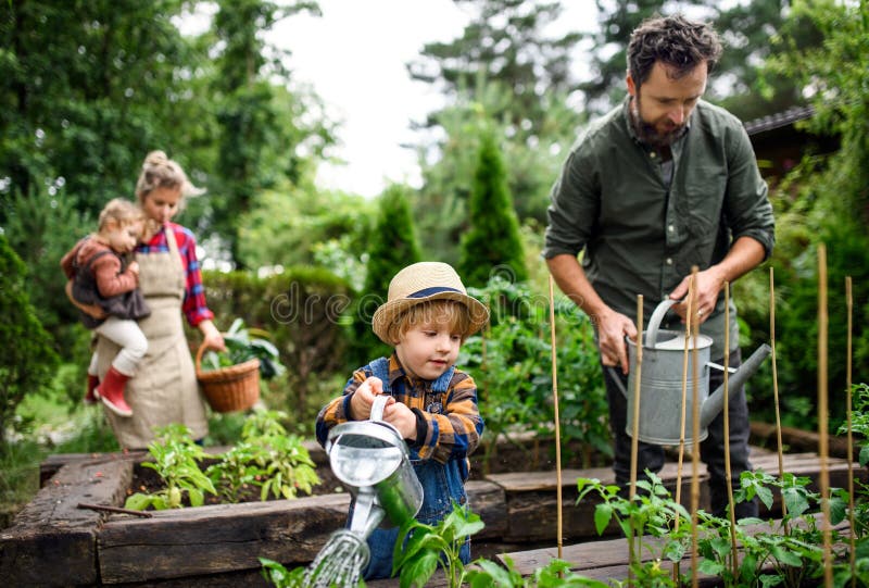 Family with small children gardening on farm, growing organic vegetables. Happy family with small children gardening on farm, growing organic vegetables