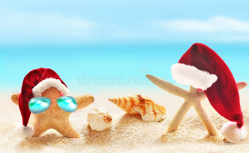 Family of starfish on summer beach and Santa hat. Merry Christmas royalty free stock image Family of starfish on summer beach and Santa hat. Merry Christmas royalty free stock image