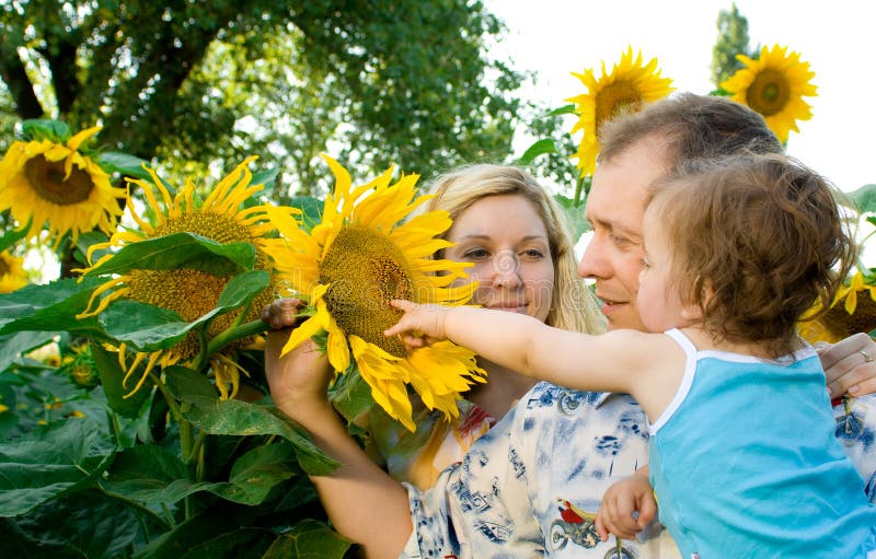 Family in sunflowers