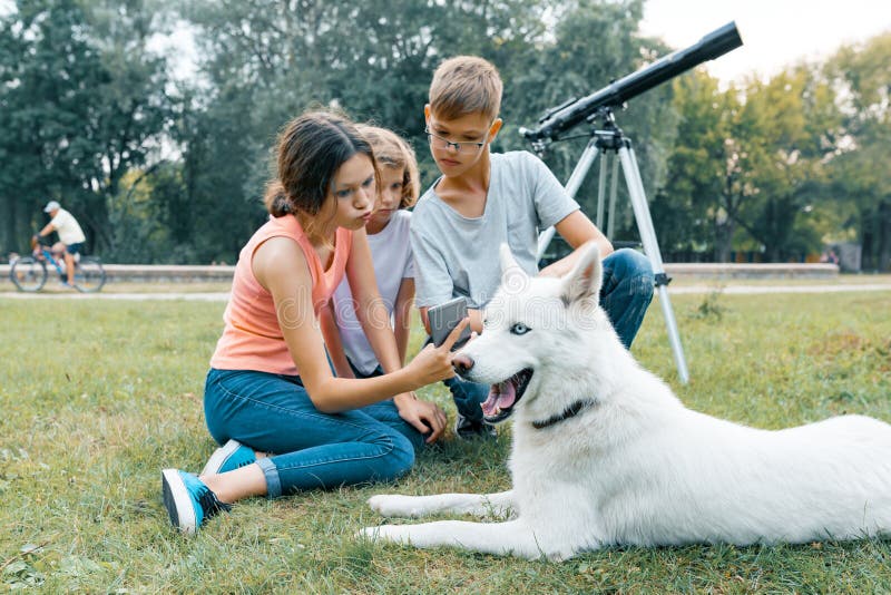 Family of three children are walking in the park with white dog Husky, sitting on the lawn, having fun looking at mobile phone royalty free stock photos Family of three children are walking in the park with white dog Husky, sitting on the lawn, having fun looking at mobile phone royalty free stock photos