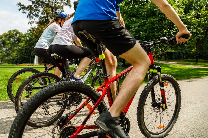 Family of three people riding bikes in summer park royalty free stock photo