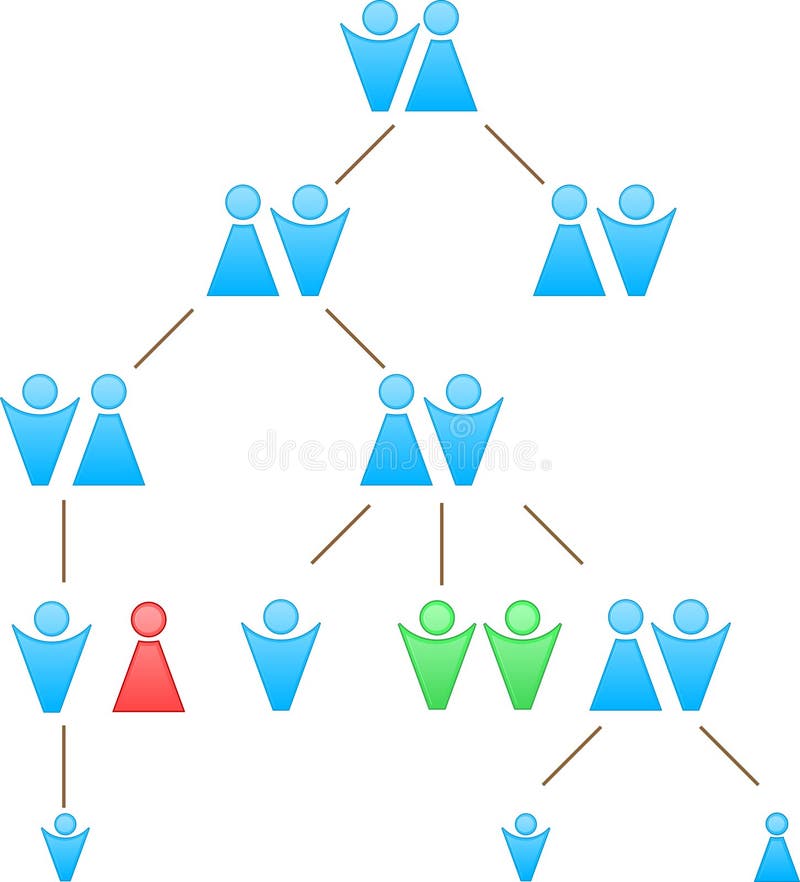 Family tree stock illustration