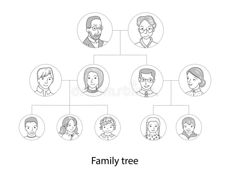 Vintage Genealogical Family Tree Hand Drawn Sketch Vector