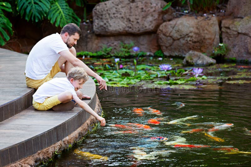 Boy Feeding Japanese Koi Fish In Tropical Pond Stock Image - Image of