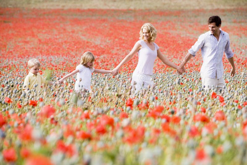 Family walking in poppy field holding hands