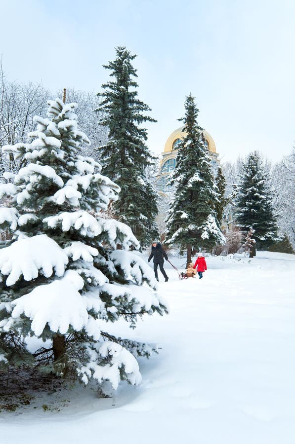 Family in winter park stock image. Image of sleigh, girl - 17027335