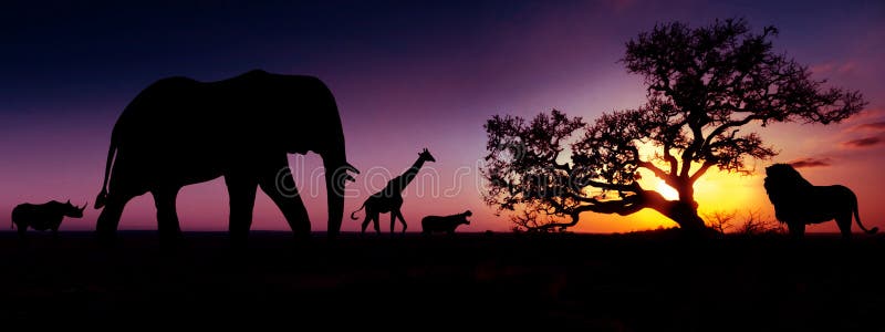 133,157 African Animals Stock Photos - Free & Royalty-Free Stock Photos from Dreamstime 133,157 African Animals Stock Photos - Free & Royalty-Free Stock Photos from Dreamstime