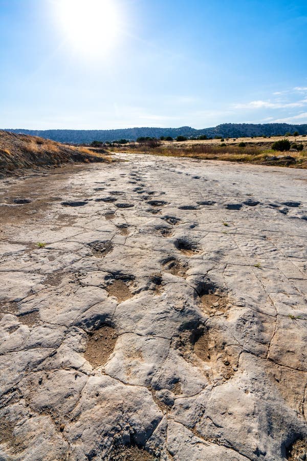 Dinosaur Tracks Of Comanche National Grassland. La Junta