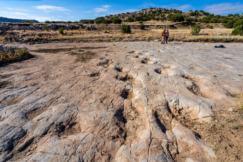 Dinosa
ur Tracks Of Comanche National Grassland. La Junta