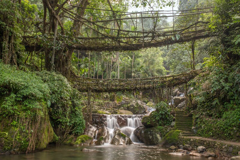 Tourists visits the double decker living root bridge amid COVID-19  coronavirus pandemic, in Nongriat village, on April 19, 2021 in Meghalaya,  India. The living root bridges, created by the members of the
