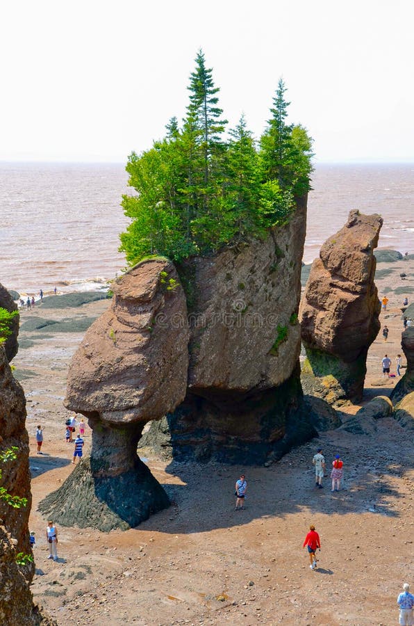 450+ Hopewell Rocks Beach Stock Photos, Pictures & Royalty-Free