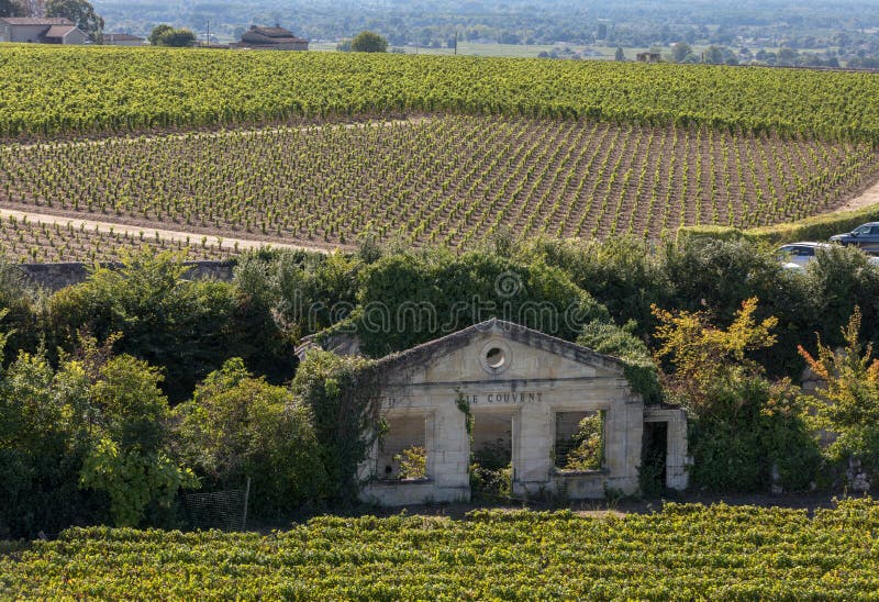 Famous French Vineyards at Saint Emilion town near Bordeaux, France. stock photography Famous French Vineyards at Saint Emilion town near Bordeaux, France. stock photography