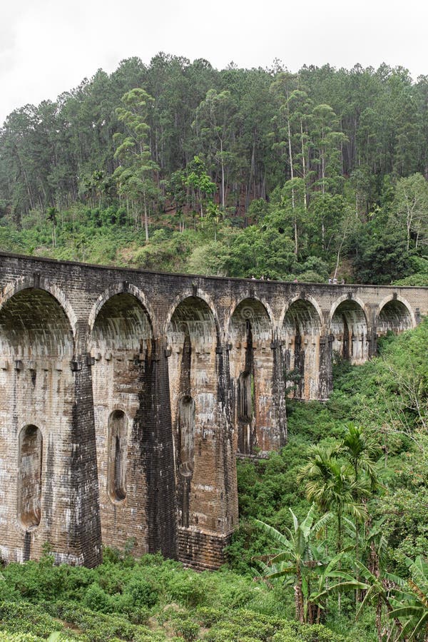 The Famous Ninearch Bridge of the Railway in the Jungle in Sri Lanka