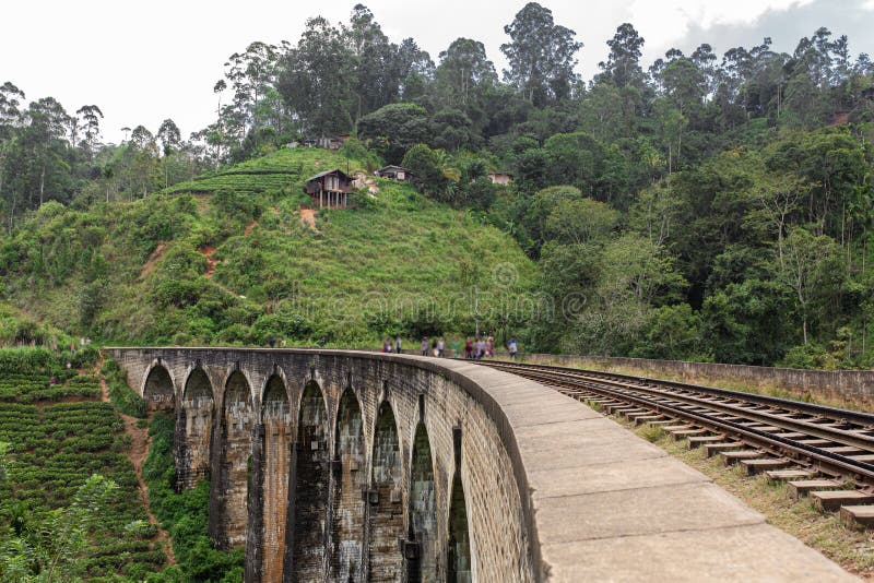 The Famous Ninearch Bridge of the Railway in the Jungle in Sri Lanka
