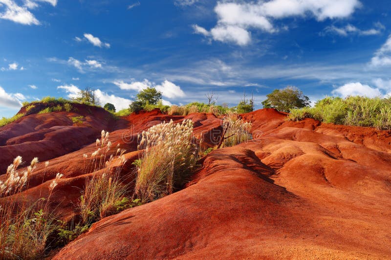 Famous red dirt of Waimea Canyon in Kauai