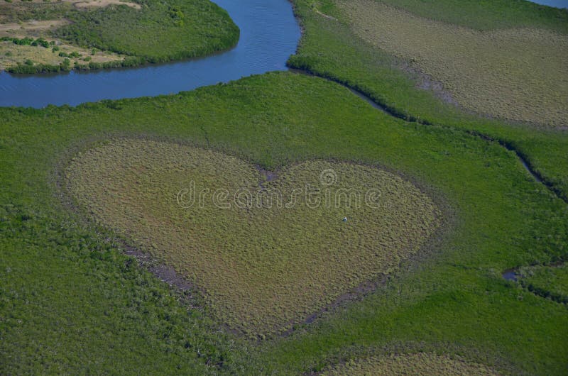 Famous voh heart in new caledonia