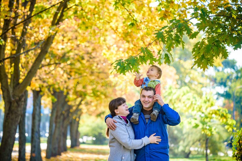 Família de três caminhadas no parque do outono que guarda as mãos filho levando do pai feliz com folhas de bordo A mãe abraça seu imagem de stock Família de três caminhadas no parque do outono que guarda as mãos filho levando do pai feliz com folhas de bordo A mãe abraça seu imagem de stock
