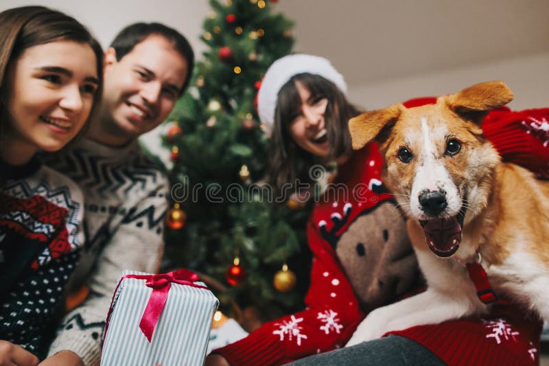 Família feliz que tem o divertimento com presente e o cão engraçado no tre do Natal fotografia de stock royalty free