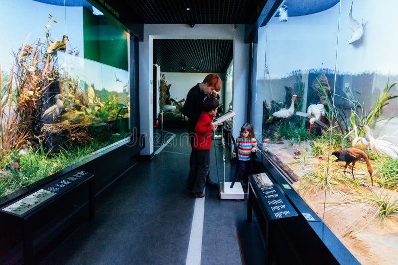 A family in a glass tunnel in the Natural History Museum, Romania with wild birds in their natural habitat on both sides of the tunnel. A family in a glass tunnel in the Natural History Museum, Romania with wild birds in their natural habitat on both sides of the tunnel.