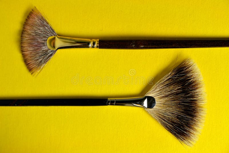 Fan Brush Stock Photos and Images - 123RF