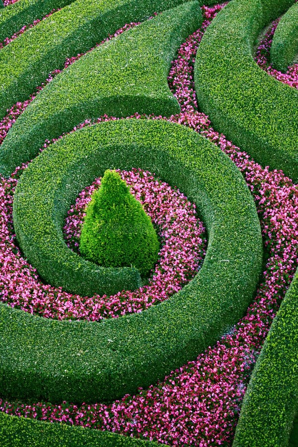 Fancy flowerbed stock photography
