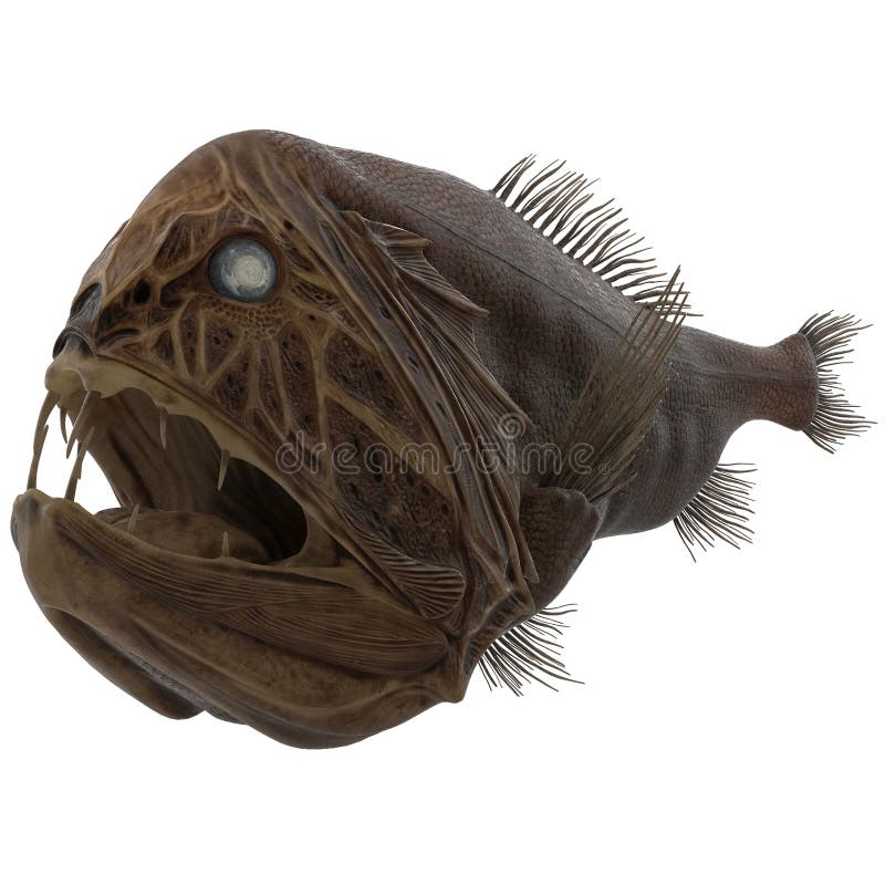 Fangtooth Fish Isolated on White 3D Illustration Stock Illustration ...