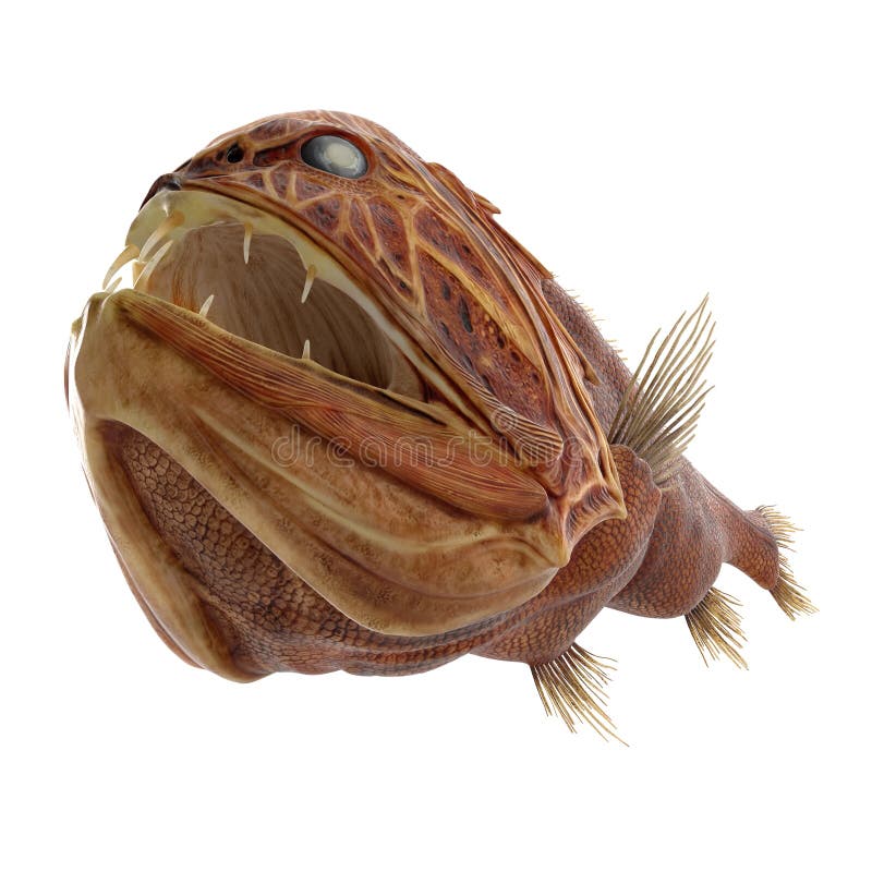 Fangtooth Fish Isolated on White 3D Illustration Stock Illustration ...