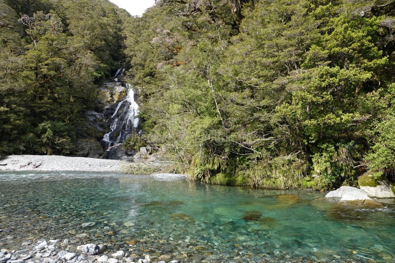 Fantail πτώσεις στο πέρασμα Νέα Ζηλανδία Haast στοκ φωτογραφία με δικαίωμα ελεύθερης χρήσης Fantail πτώσεις στο πέρασμα Νέα Ζηλανδία Haast στοκ φωτογραφία με δικαίωμα ελεύθερης χρήσης