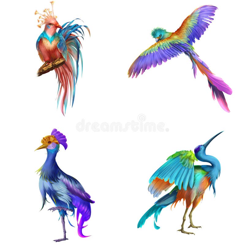 Fantasi och realistisk fågel Djur teckendesign Begreppskonst stock illustrationer Fantasi och realistisk fågel Djur teckendesign Begreppskonst stock illustrationer