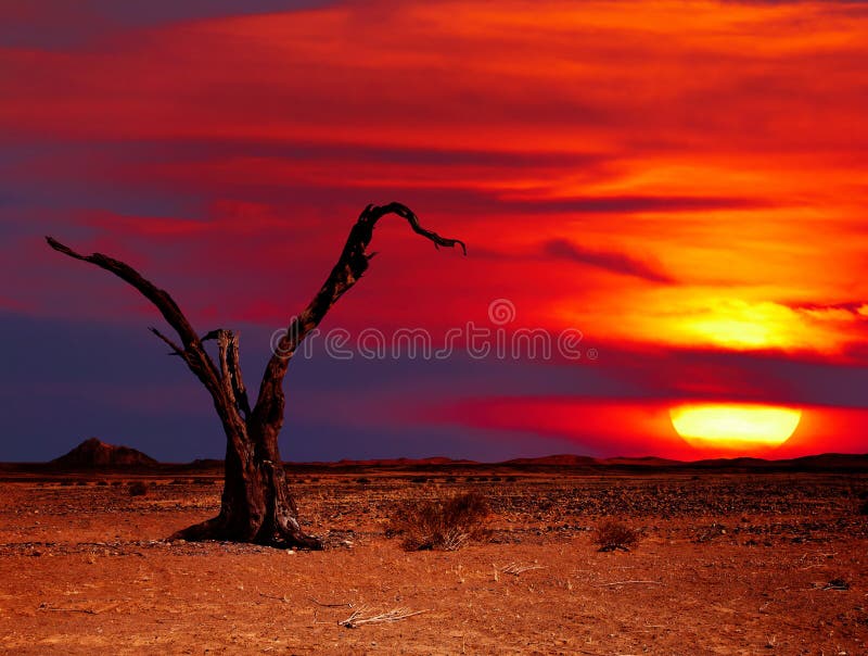 Fantasia del deserto immagini stock Fantasia del deserto immagini stock