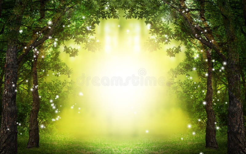 Fantasy world. Enchanted forest with lights and sunlit way between trees. Fantasy world. Enchanted forest with lights and sunlit way between trees