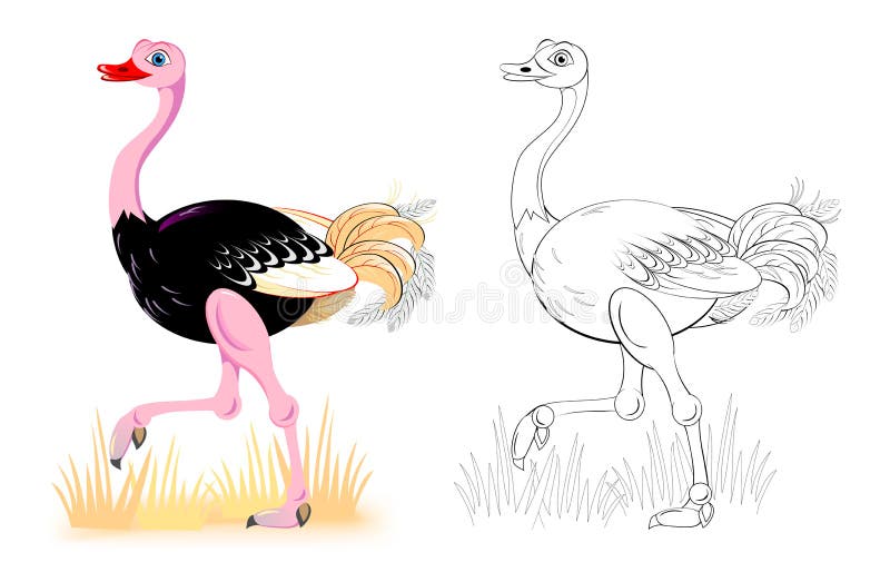 Fantasiillustration av den gulliga strutsen Färgrik och svartvit sida för färgläggningbok Arbetssedel för barn och vuxna människo royaltyfri illustrationer Fantasiillustration av den gulliga strutsen Färgrik och svartvit sida för färgläggningbok Arbetssedel för barn och vuxna människo royaltyfri illustrationer