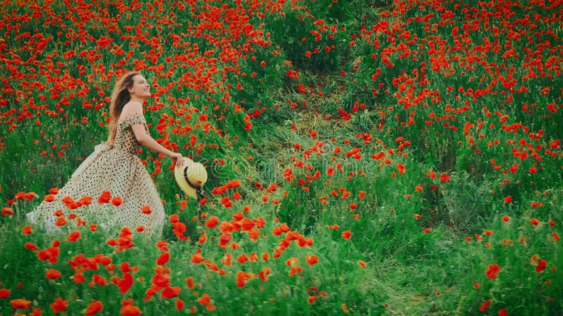 Fantasme romantique joyeuse femme joie court dans le champ de l'été pavots fleuris rouge vert herbe naturelle. Joyeux banque de vidéos