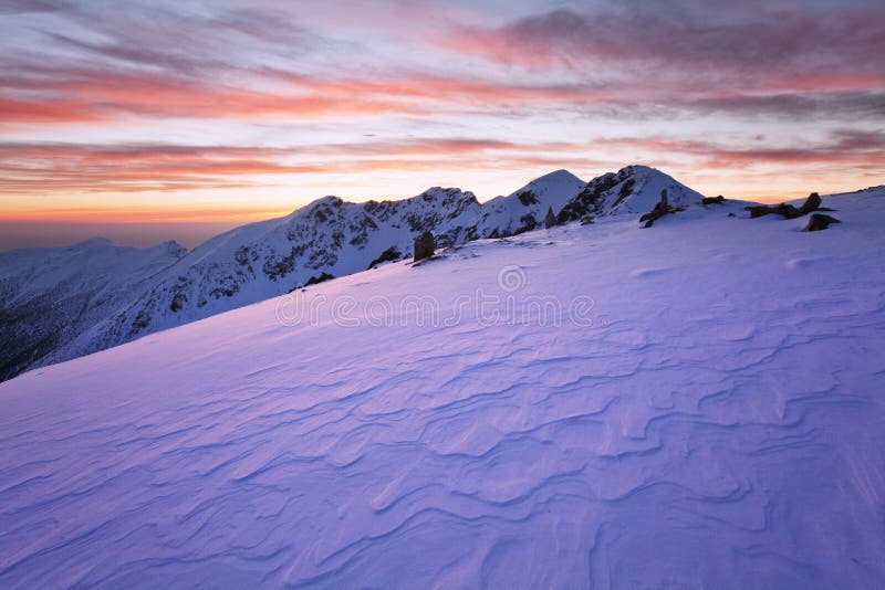 Fantastic evening and morning winter landscape. Colorful overcast sky. Beauty world Magical snow covered tree. In anticipation of the holiday. Dramatic wintry scene. Carpathian mountains, Europe. Beautiful nature background. Caucasus or Carpathians mountains.