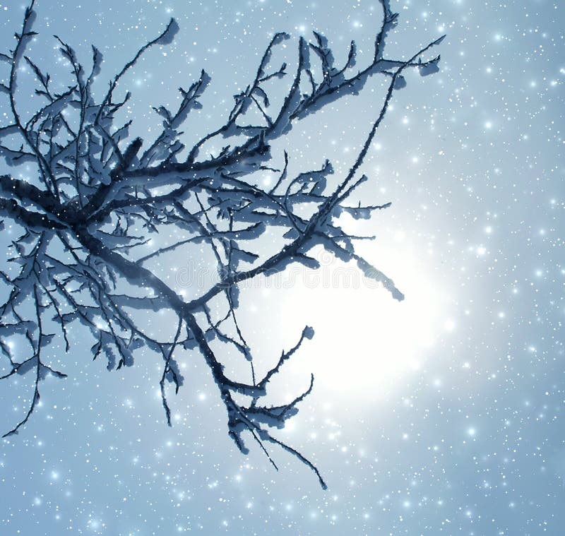 Evening fantastic light stock image. Image of hoar, background 570611