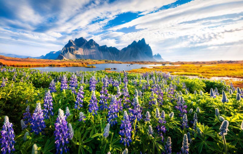 Fantastic Morning Scene of Stokksnes Cape with Vestrahorn Batman ...