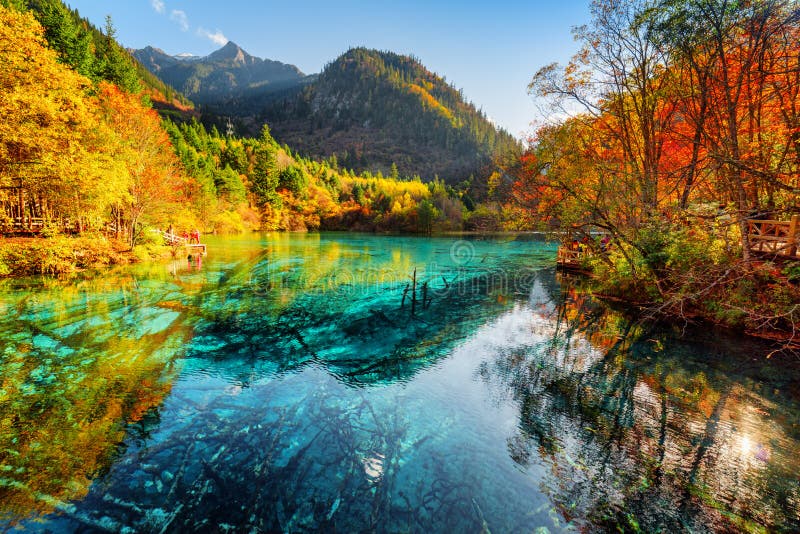 Fantastic View Of The Five Flower Lake With Azure Water Stock Photo